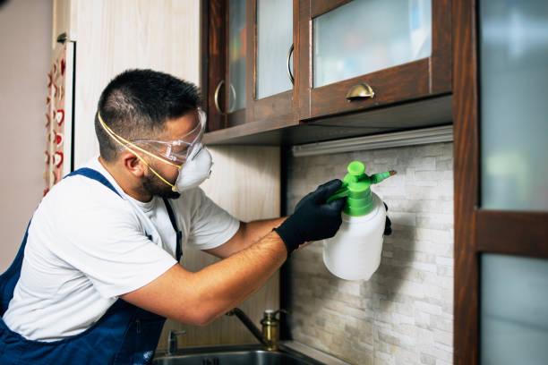 Best Commercial Pest Control Services  in Forrest, IL