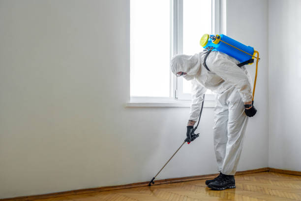 Best Bed Bug Extermination  in Forrest, IL